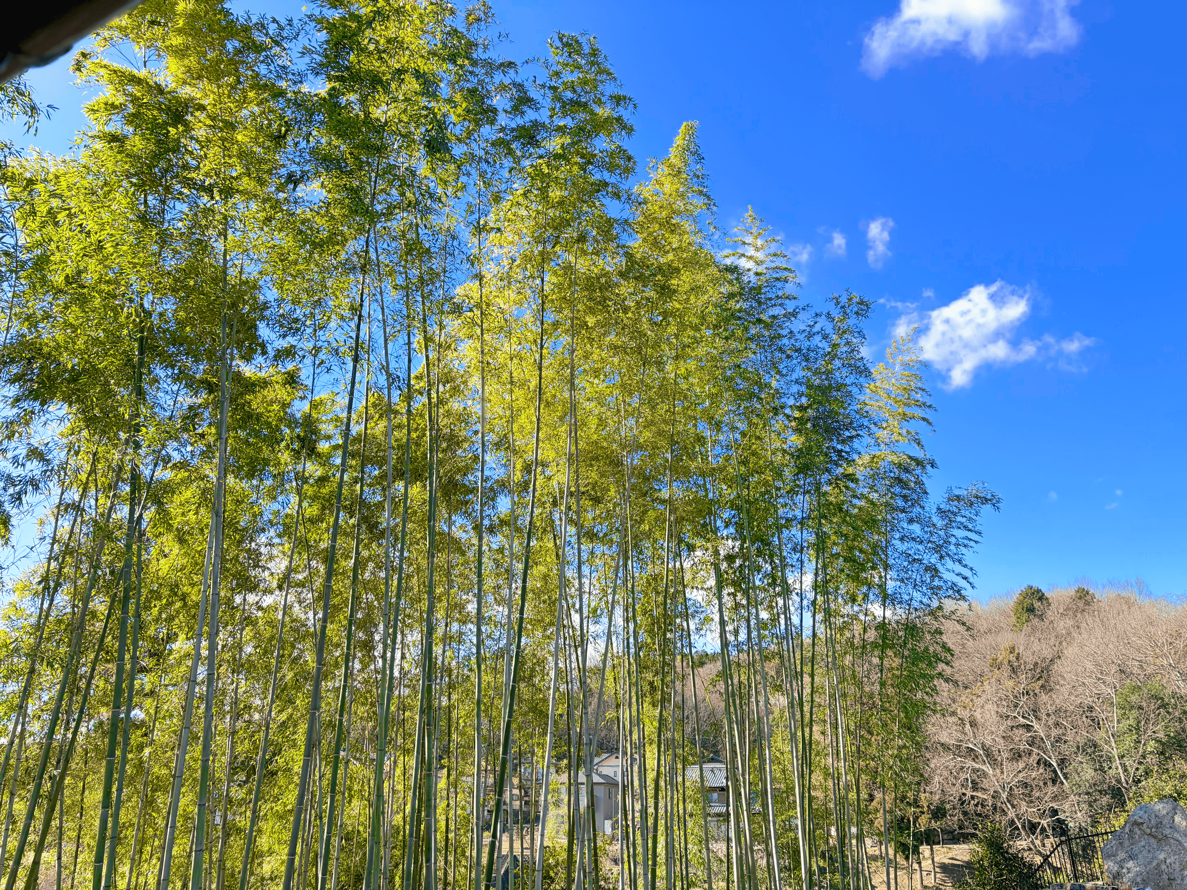 ぬくもりへのアクセス